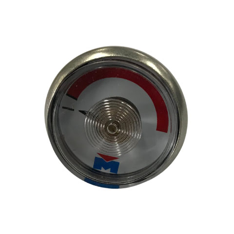 Rupture Disc Pressure Gauge - 1/8" MBSP